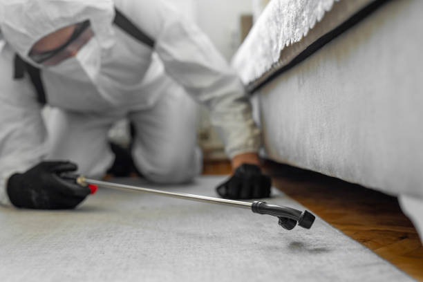 Professional Cockroach Control technician working in Hettinger, ND