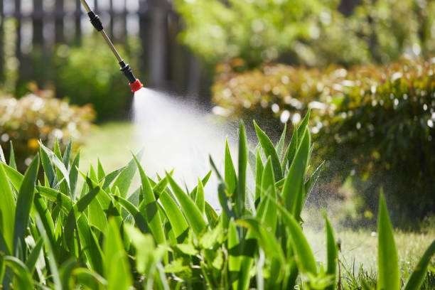 24/7 Emergency Cockroach Control experts in Hettinger, ND