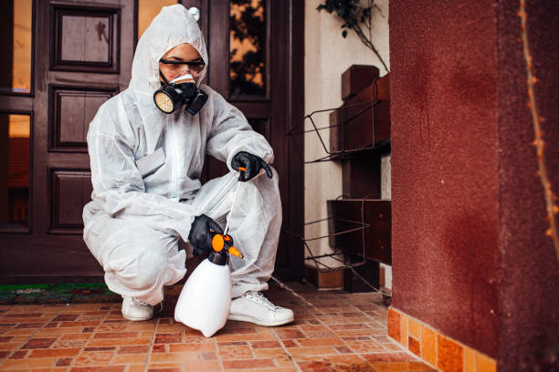 Reliable Cockroach Control contractor in Hettinger, ND by Nex Pest Control